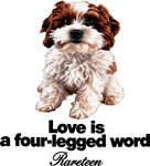 可爱四脚萌犬传达爱意