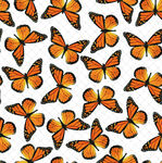橙色蝴蝶无缝图案背景