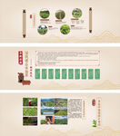 中式茶文化宣传页设计