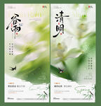 谷雨清明节花卉雨滴海报