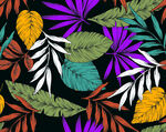 多彩热带植物图案