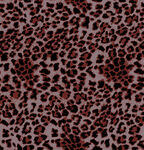 豹纹图案布料纹理