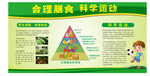 合理膳食科学运动宣传页