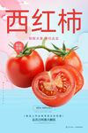 西红柿
