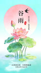 谷雨时节荷花绽放图