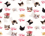 可爱猫咪图案背景