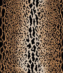 豹纹纹理图案