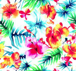 热带花卉水彩图案