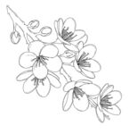 手绘花卉线条图 矢量图