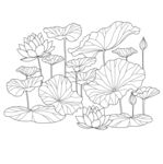 线描荷花荷叶图案 矢量图