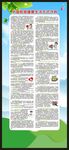 全国肿瘤防治宣传周展架