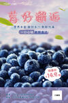 蓝莓海报