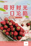 草莓海报