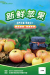 苹果海报