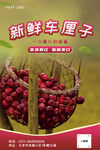 新鲜车厘子海报