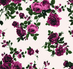 紫色玫瑰花卉图案背景