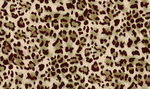 豹纹图案布料纹理