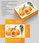 枇杷包装盒设计展示