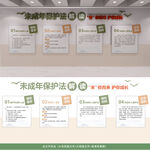 未成年人保护法