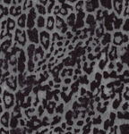 黑色豹纹纹理图案