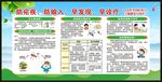 全国疟疾日宣传栏