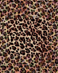 豹纹图案纹理