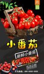 小番茄 