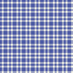 蓝白格子图案纹理