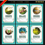 创建国家森林城市