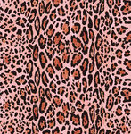 粉色豹纹图案纹理