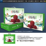 杨梅包装