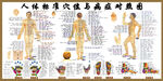 人体标准穴位与病症对照图