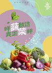 蔬菜海报