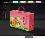 红心芭乐礼盒 番石榴包装