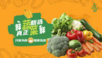 蔬菜海报