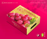 妮娜皇后葡萄 葡萄包装