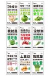 蔬菜种植海报