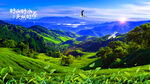 茶山