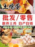 土鸡蛋
