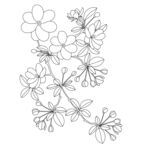 花卉线条图 简约植物 矢量图