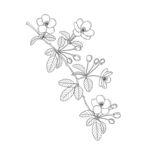 手绘花卉线条图案 矢量图