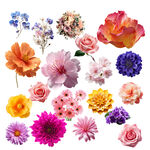 免扣花 透明花朵花瓣