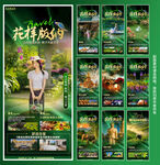 西双版纳旅游海报