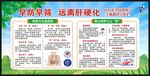 全国爱肝日宣传栏