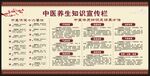 中医健康教育知识宣传栏