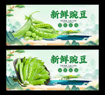 豌豆