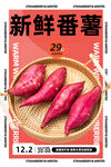 番薯