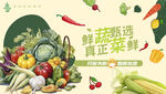 蔬菜海报