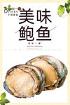 鲍鱼