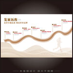 企业发展历程